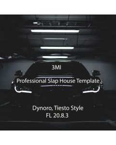 Professional Slap House Template | Dynoro, Tiesto Style - FL Studio 20