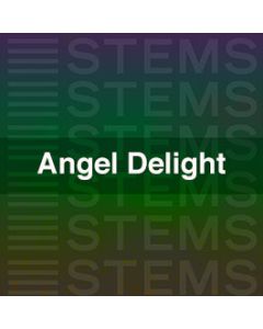Audio Stems - Angel Delight