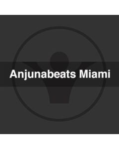 Anjunabeats In Miami FL Studio Template