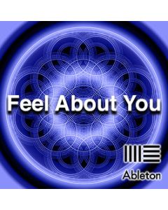 Exclusive Full License - Feel about You