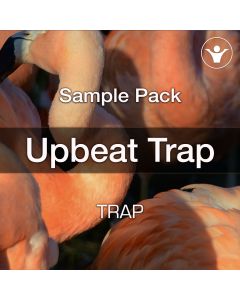 Upbeat Trap Loops and Samples
