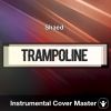 Shaed - Trampoline (Instrumental Cover)