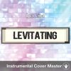 Dua Lipa - Levitating (Instrumental Cover)