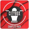 Citybox Breaks & Breakbeat Samples Pack