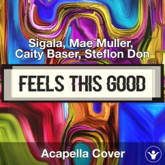 Feels This Good - Sigala - Acapella Cover